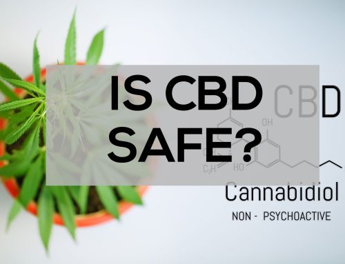 Is CBD Safe?