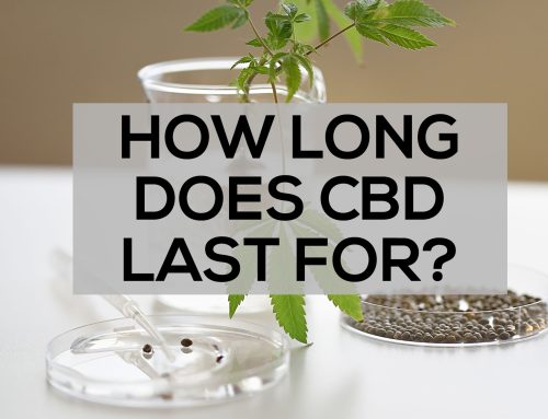 How Long Does CBD Last For?