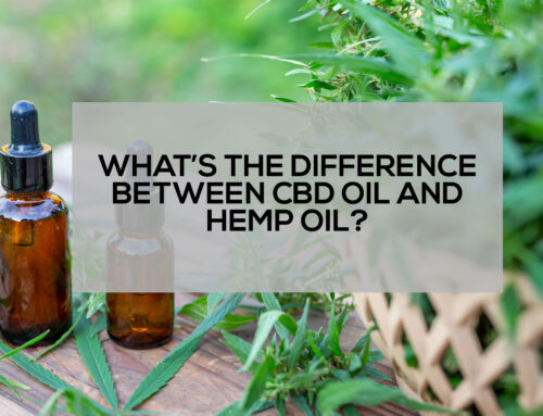 What’s the Difference between CBD Oil and Hemp Oil?
